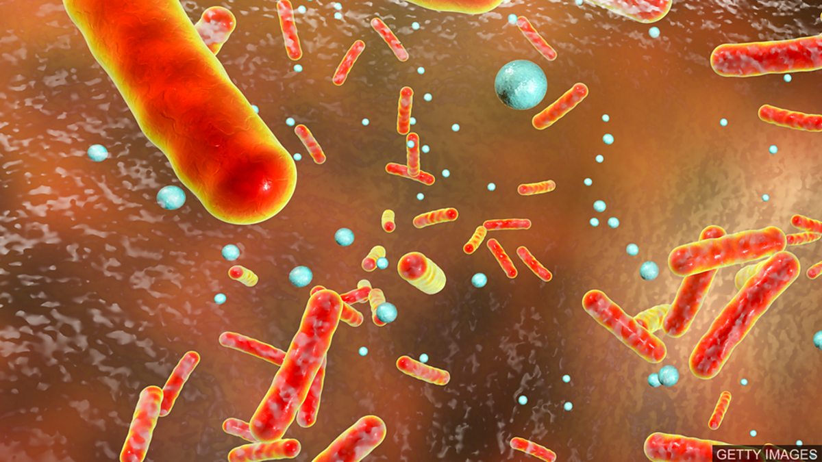 BBC Learning English 媒体英语 / Novel antibiotic effectively kills