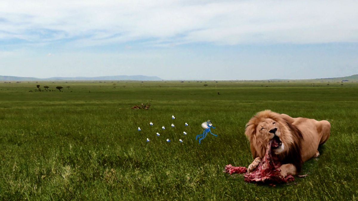 How do animals break down food? BBC Bitesize