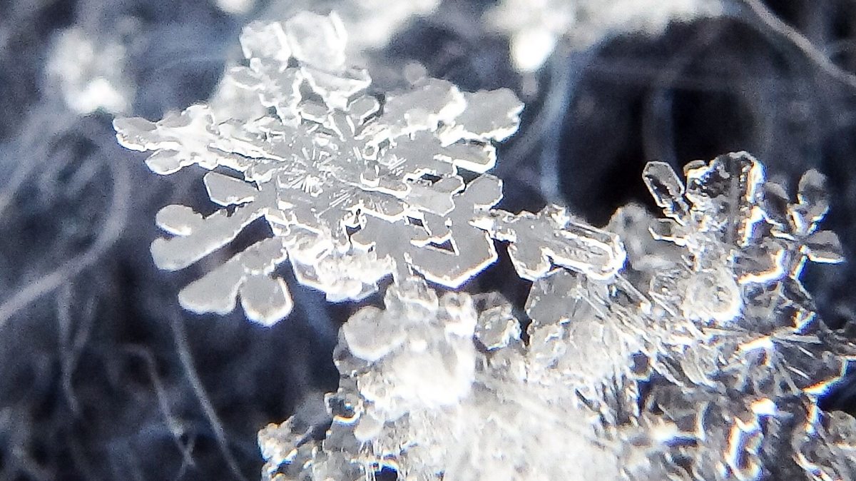 How snowflakes get their distinct and various shapes