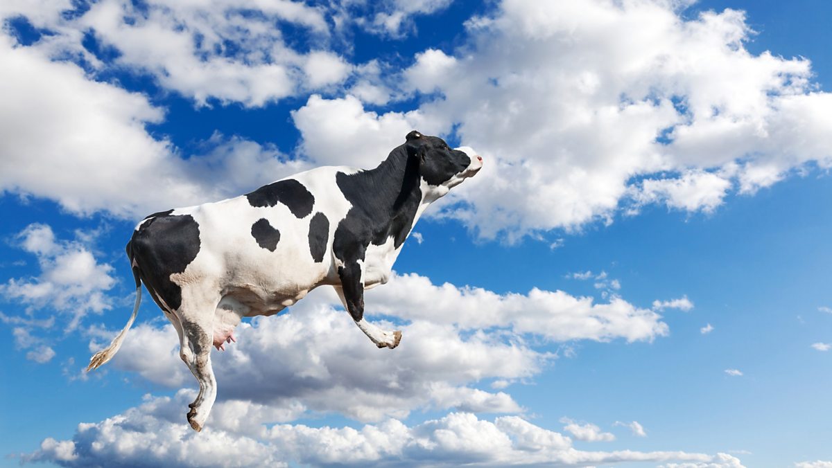 BBC Learning English Lingohack / Climate change Can floating farms