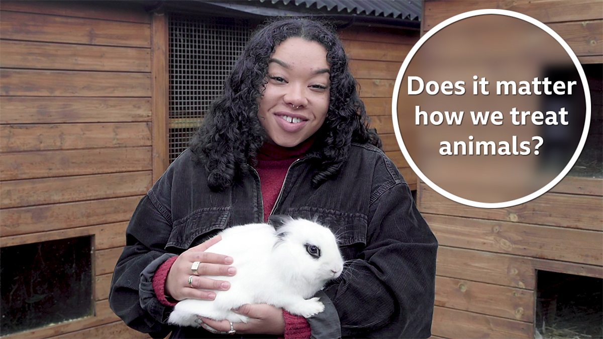 Does it matter how we treat animals? – KS3 Religious Studies – BBC Bitesize  - BBC Bitesize