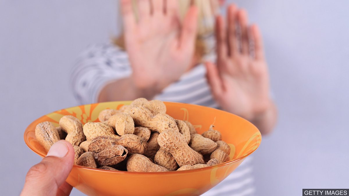 BBC Learning English - 英语大破解/ New treatment for nut allergy