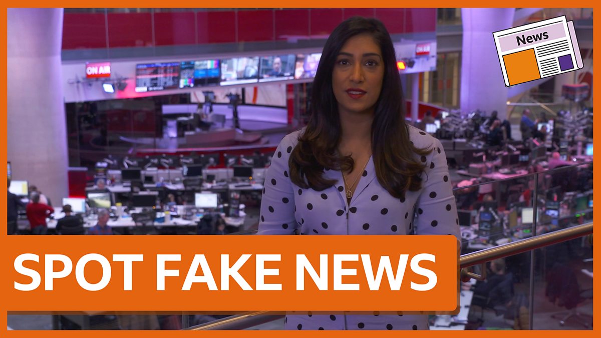 how do i report a story to bbc news