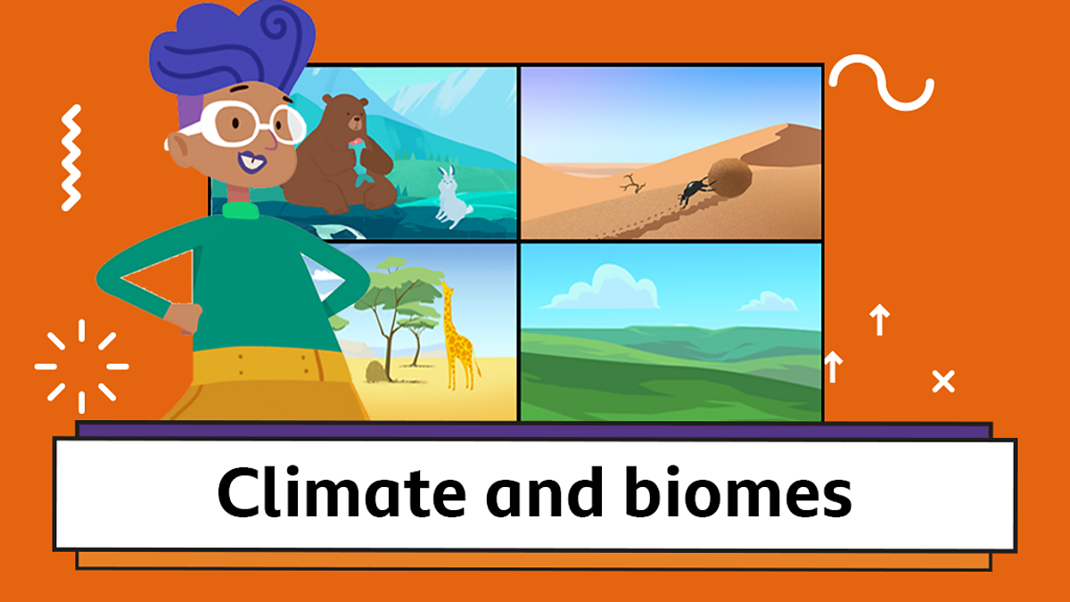 Physical Geography Climate And Biomes Year 3 P4 Geography This