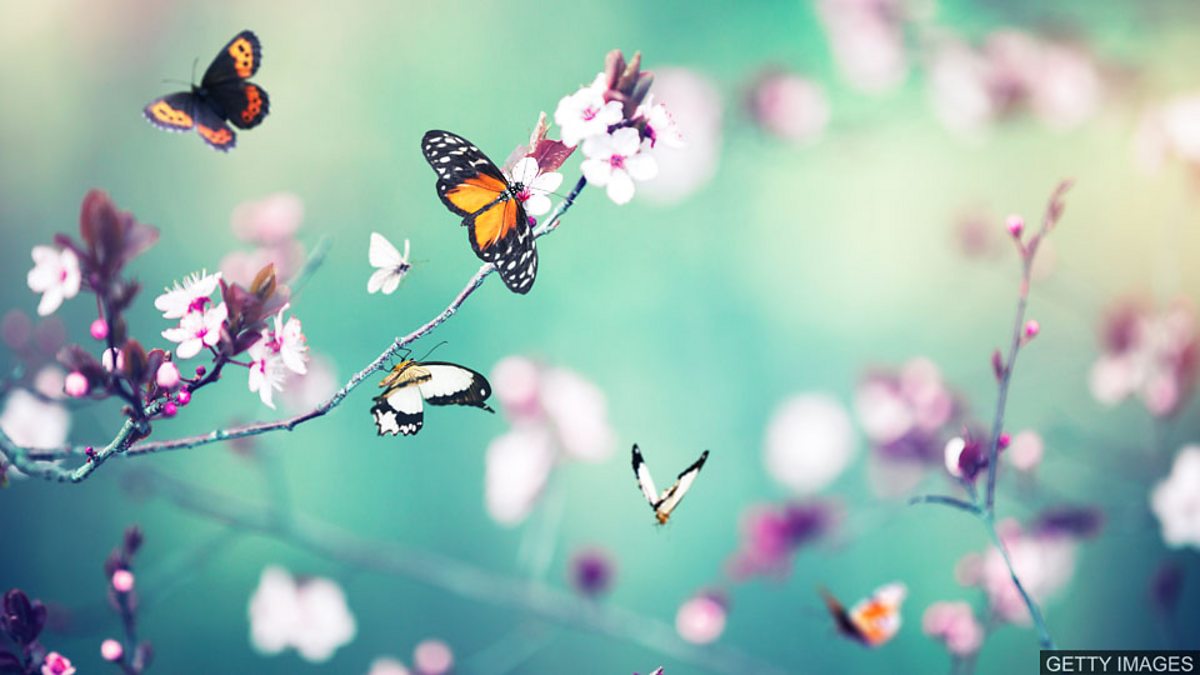 c Learning English 今日短语 Mother Nature 大自然 自然界