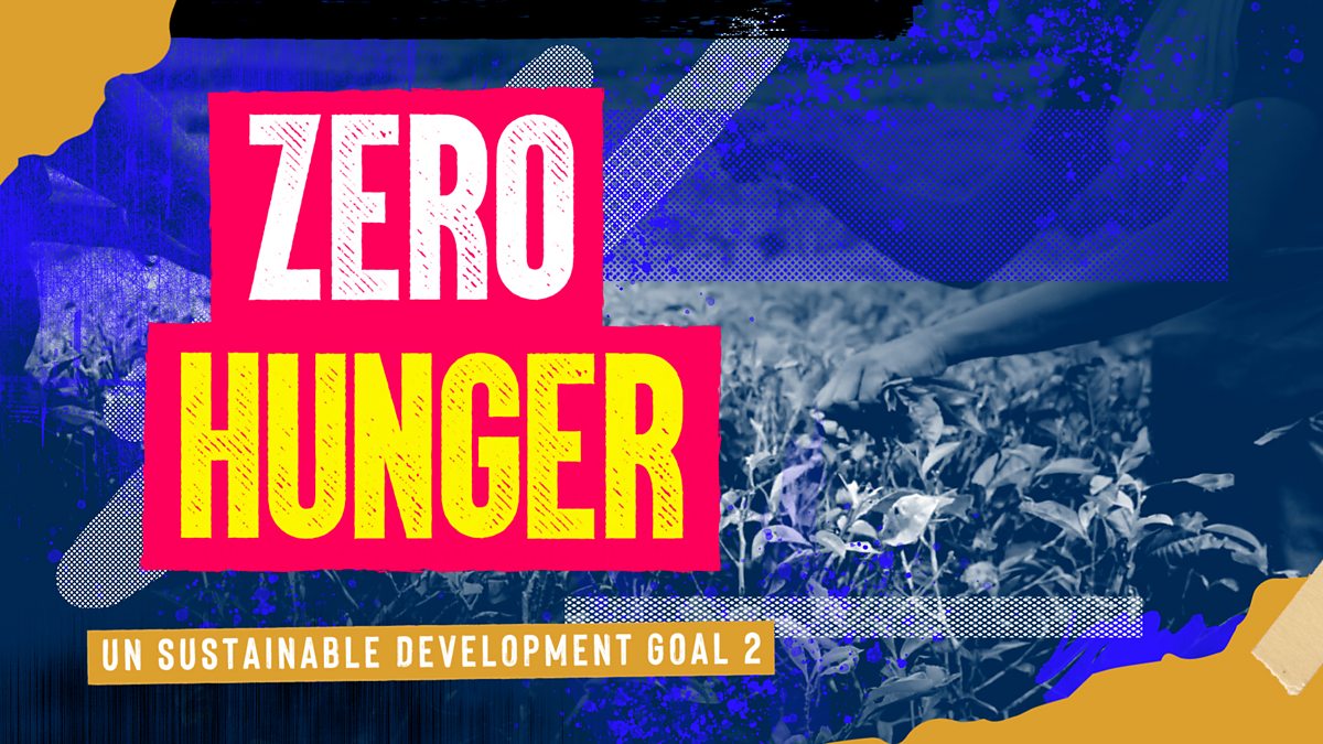 Hunger in Scotland UN Sustainable Development Goal 2 No hunger 4th