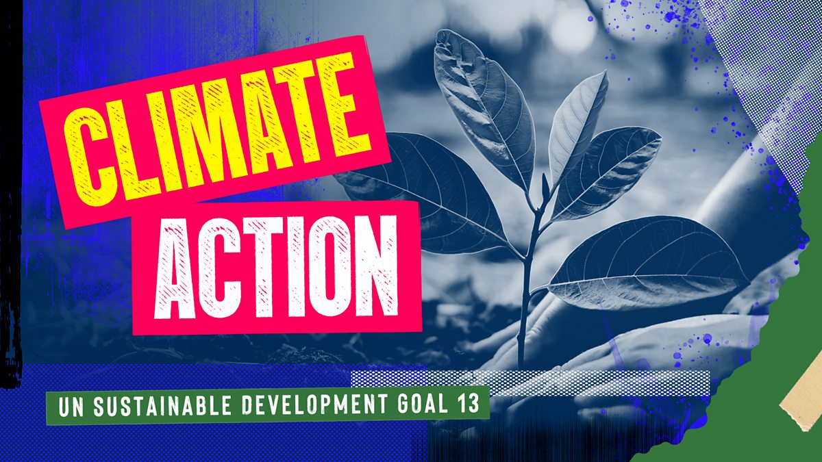 Climate action worldwide UN Sustainable Development Goal 13 Climate action 3rd level