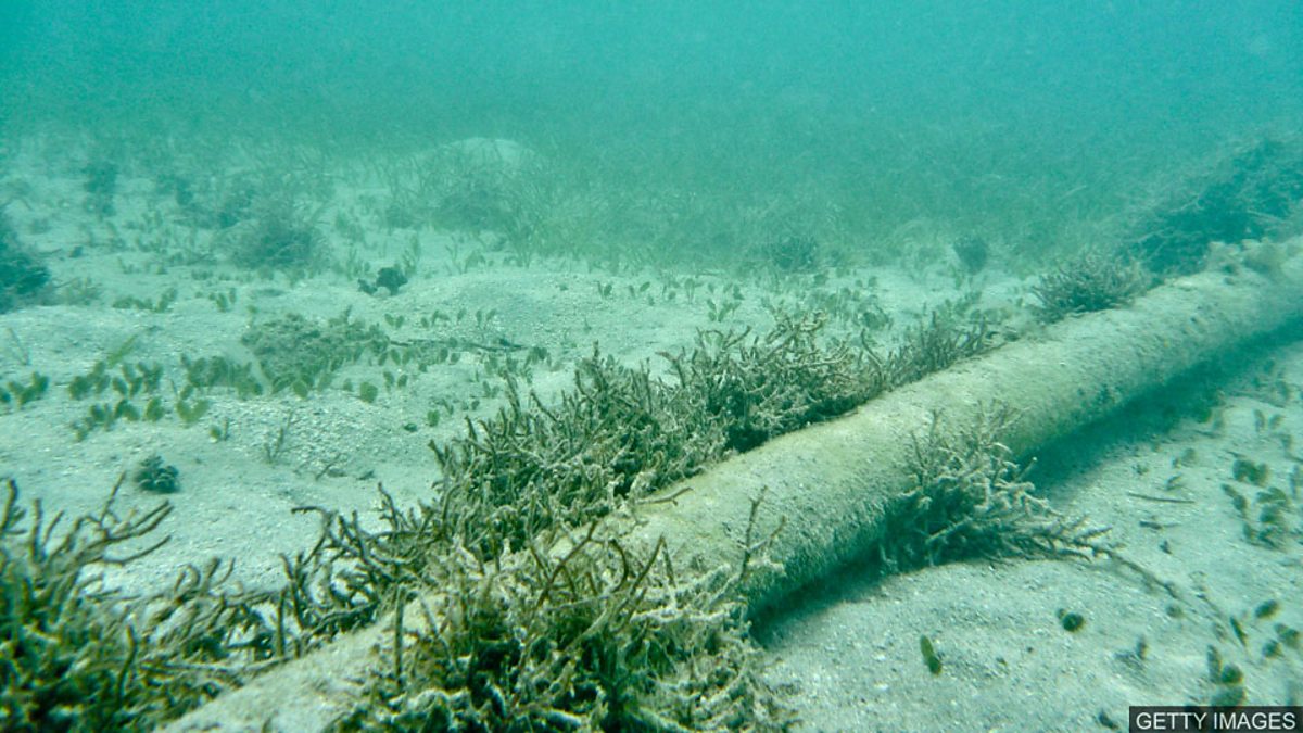 c Learning English 媒体英语 Underwater Avalanche Continued For Two Days 非洲西侧海底沉积物崩塌持续两日