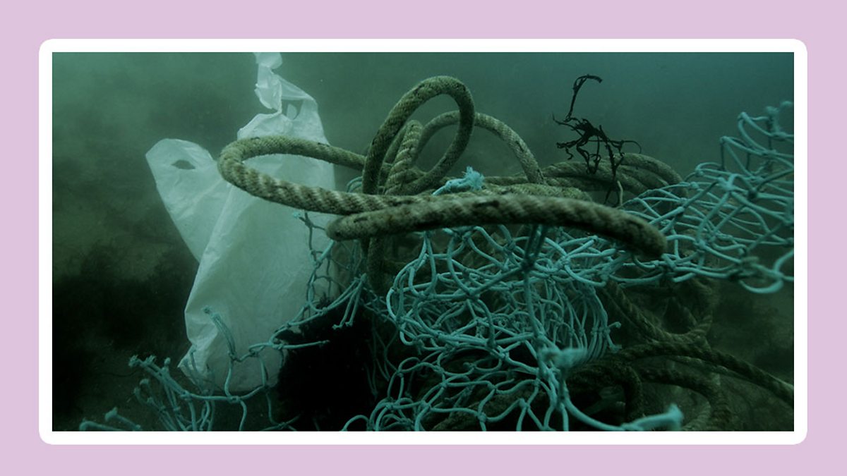 What happens when plastics get into the ocean? KS2 Sustainability