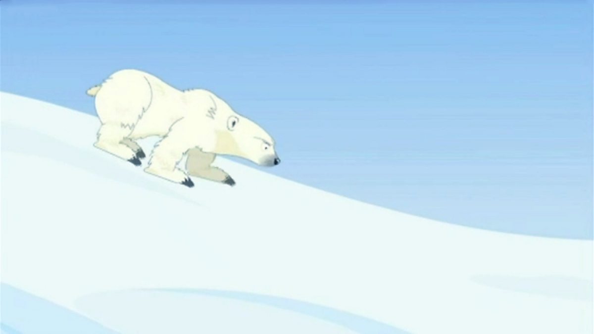 Why did the brown bear evolve into the polar bear? BBC Teach