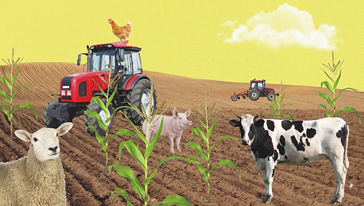 Explainer How has farming changed over time? [KS2] Videos for