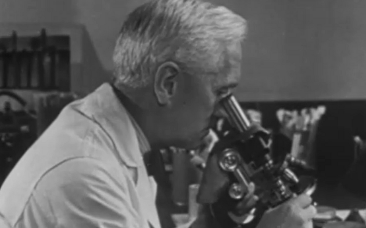 Enzymes BBC Bitesize