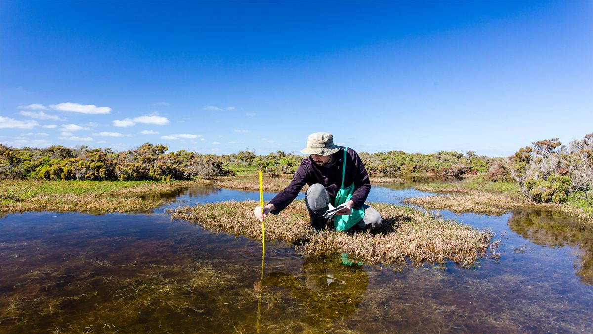 Carrying out fieldwork and independent investigations - BBC Bitesize