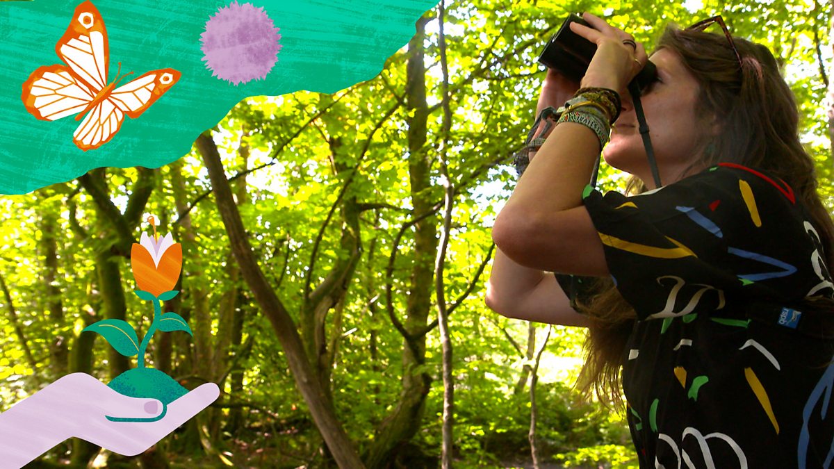 a nature detective BBC Bitesize