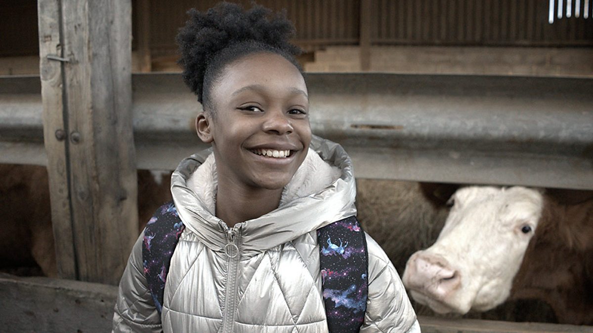 Exploring food and farming in the UK | KS2 Geography | Year 5 and Year 6 - BBC Bitesize