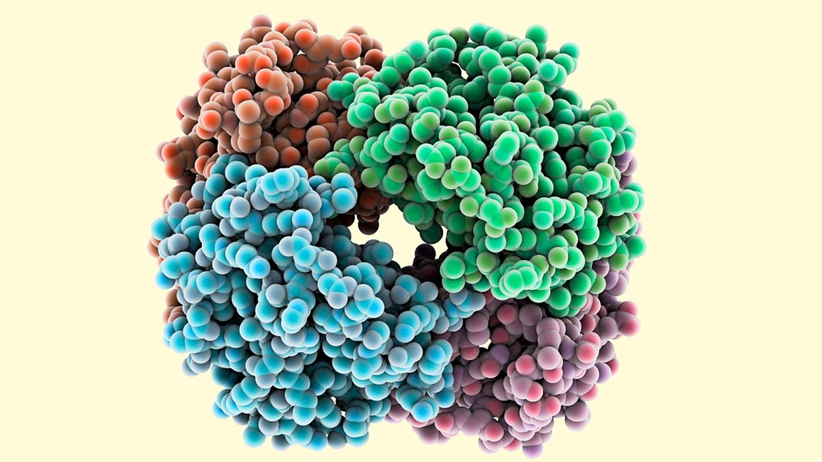 What happens in cells (and what do cells need)? OCR Gateway GCSE