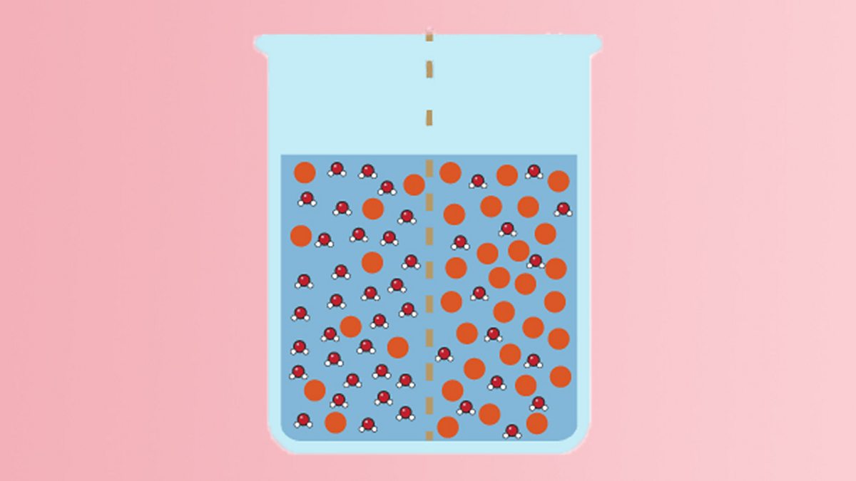 Exchange of substances in leaves How do producers transport the