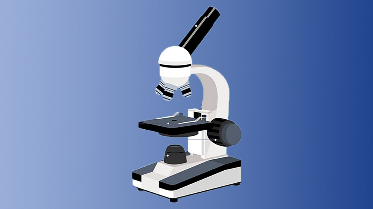 Bacterial cells Microscopy and cells (CCEA) GCSE Combined Science