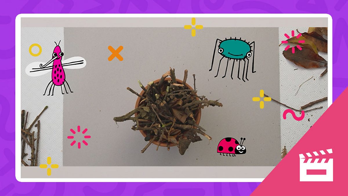 How to make a bug hotel EYFS Reception BBC Bitesize