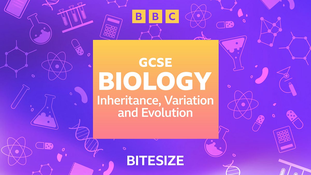 GCSE Science Podcasts - Inheritance, Variation And Evolution - BBC Bitesize