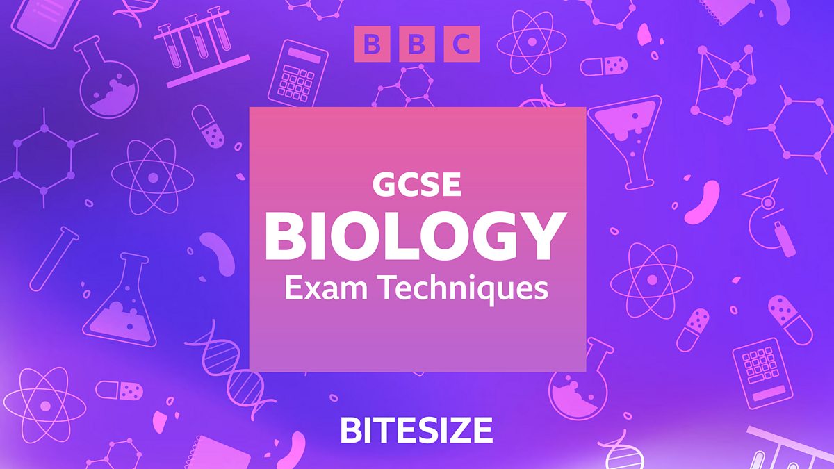 GCSE Science podcasts - Biology exam techniques - BBC Bitesize