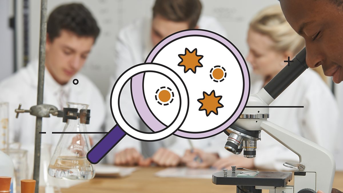 GCSE Biology exam 2023 revision support BBC Bitesize