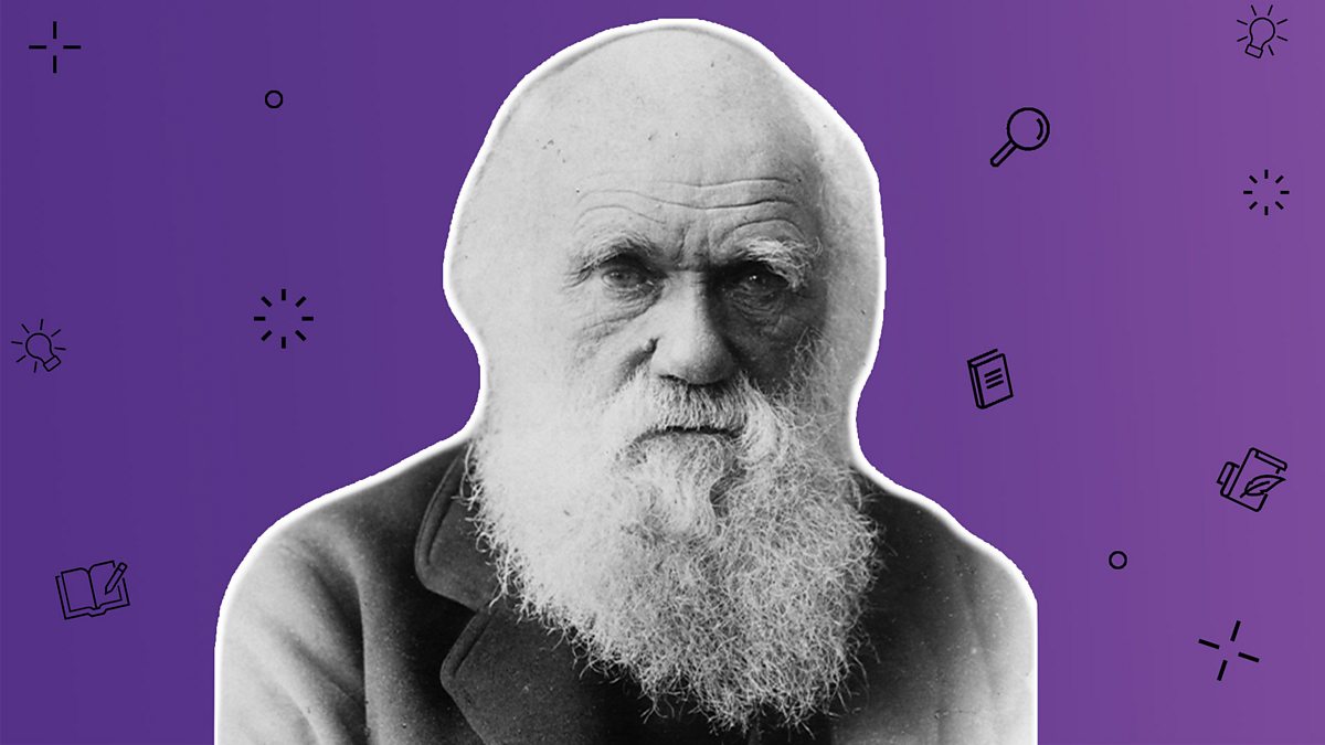 charles-darwin-s-ideas-of-evolution-bbc-bitesize-ks3-history-bbc