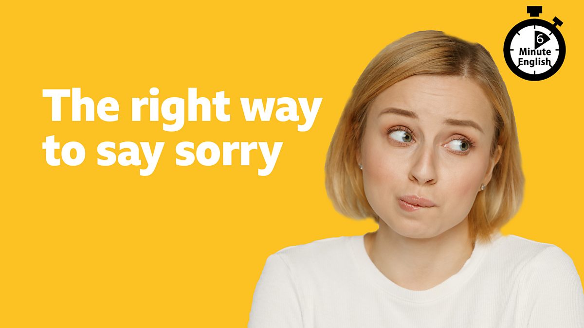 Bbc Learning English 6 Minute English The Right Way To Say Sorry 9039