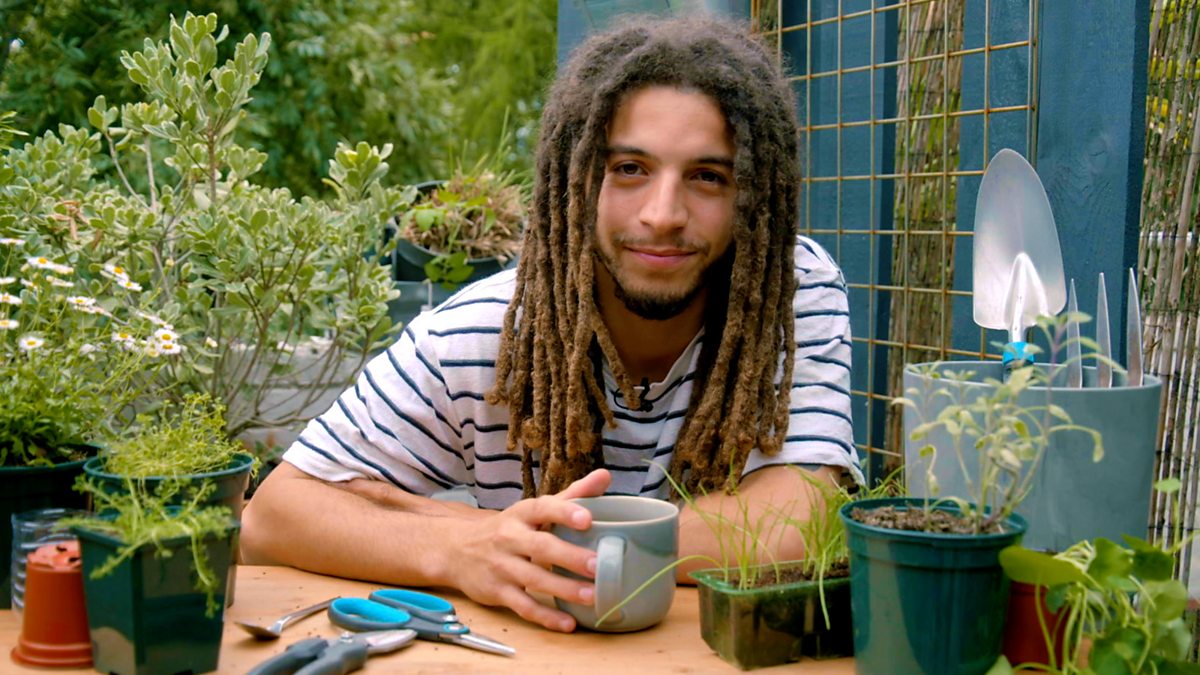 How to grow plants at home Tips for your family with Tayshan Hayden