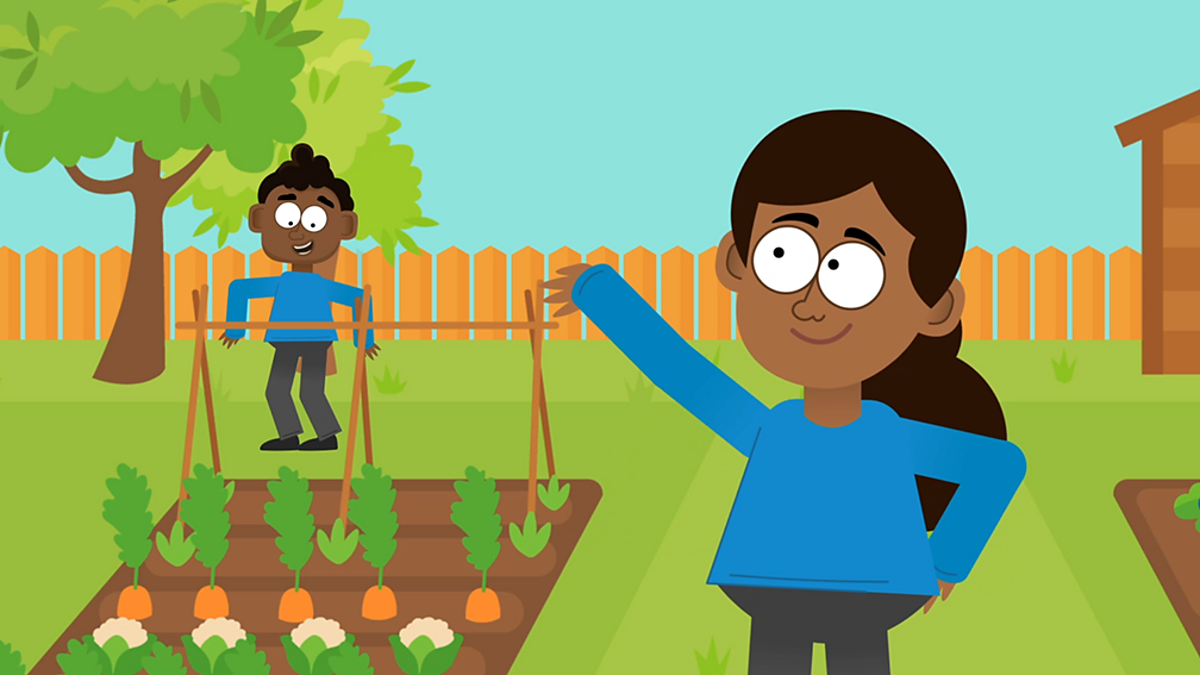 Glorious green plant vocabulary KS1 English curriculum BBC Bitesize