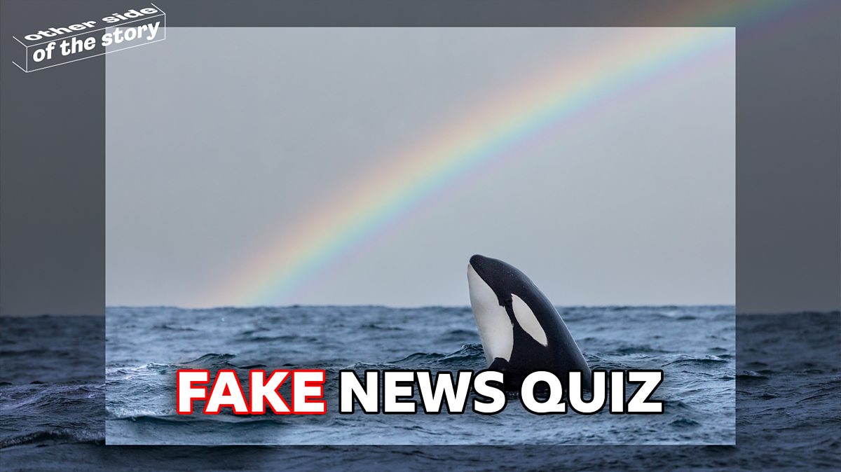 Quiz: Can You Spot The Fake News Stories From June? - BBC Bitesize