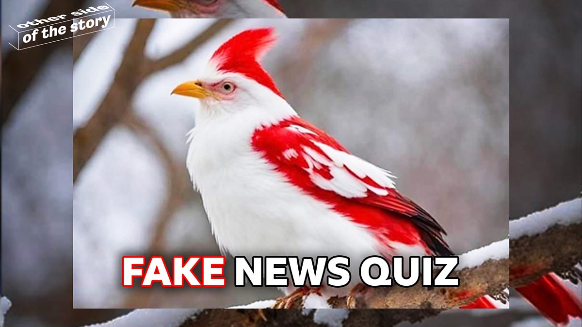 Fake news quiz December 2023 BBC Bitesize