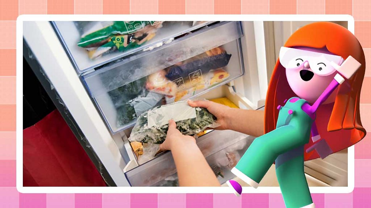 Storing food safely KS2 BBC Bitesize