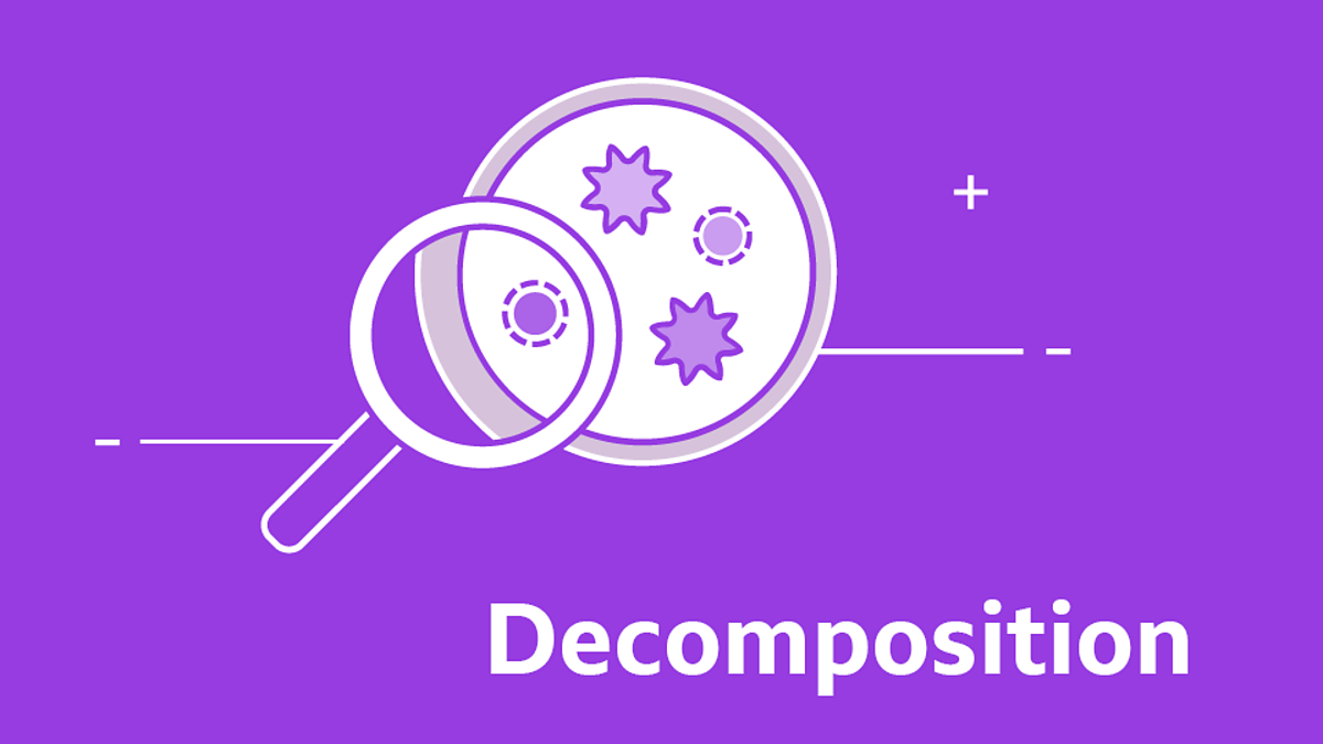 GCSE biology questions - decomposition GCSE biology revision - BBC Bitesize