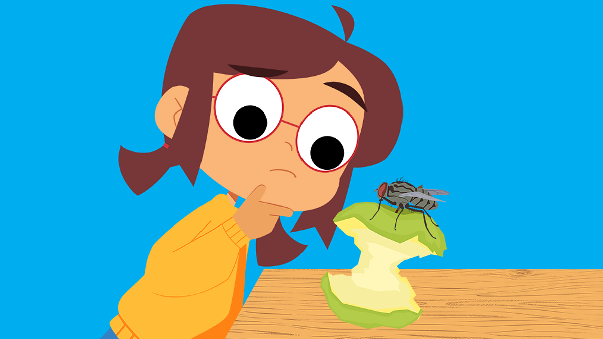 What are minibeasts? - KS1 Science curriculum - BBC Bitesize