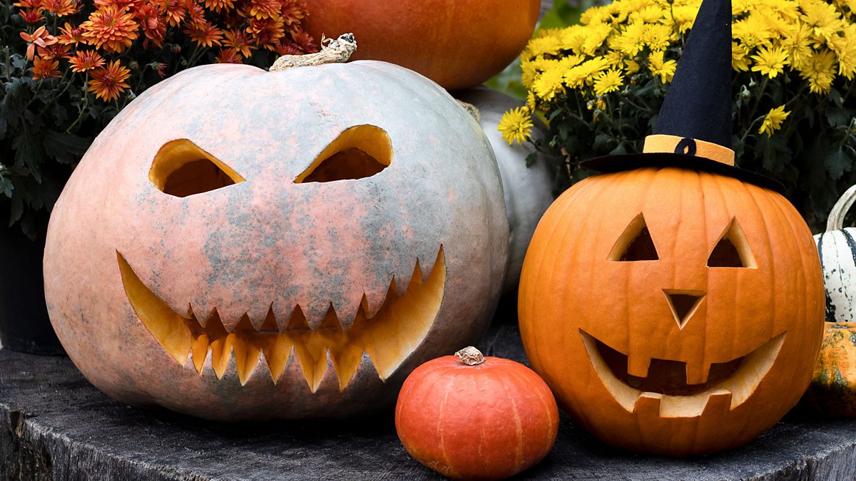 Study 'trick or treat': 6 tips to help you revise this Halloween