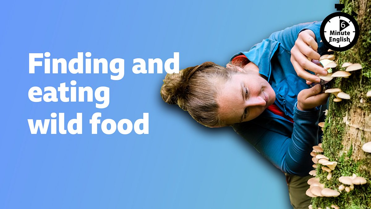 BBC Learning English