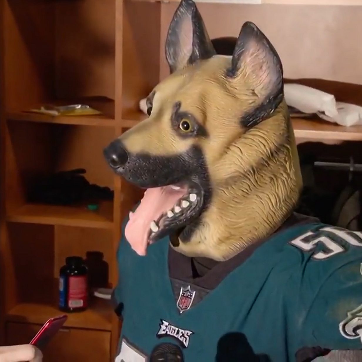 Cuccioli Di Pastore Tedesco - Allevamento Di Casa Capitano