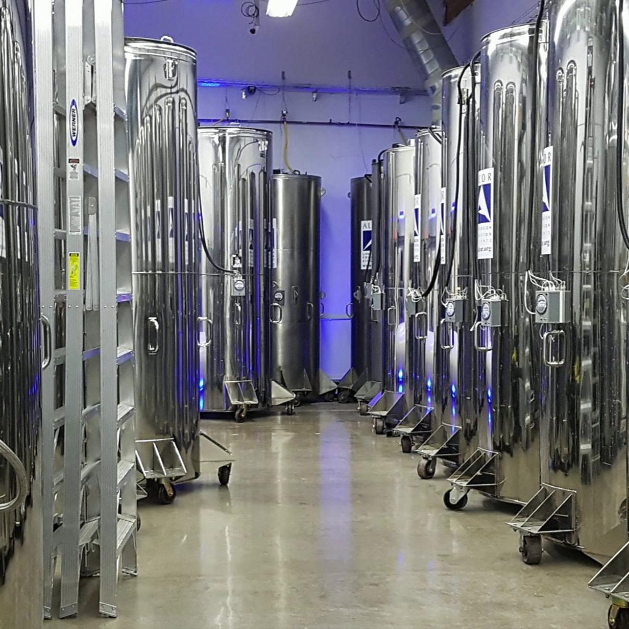 Cryonics: What It's Like to Be Frozen for Future Revival