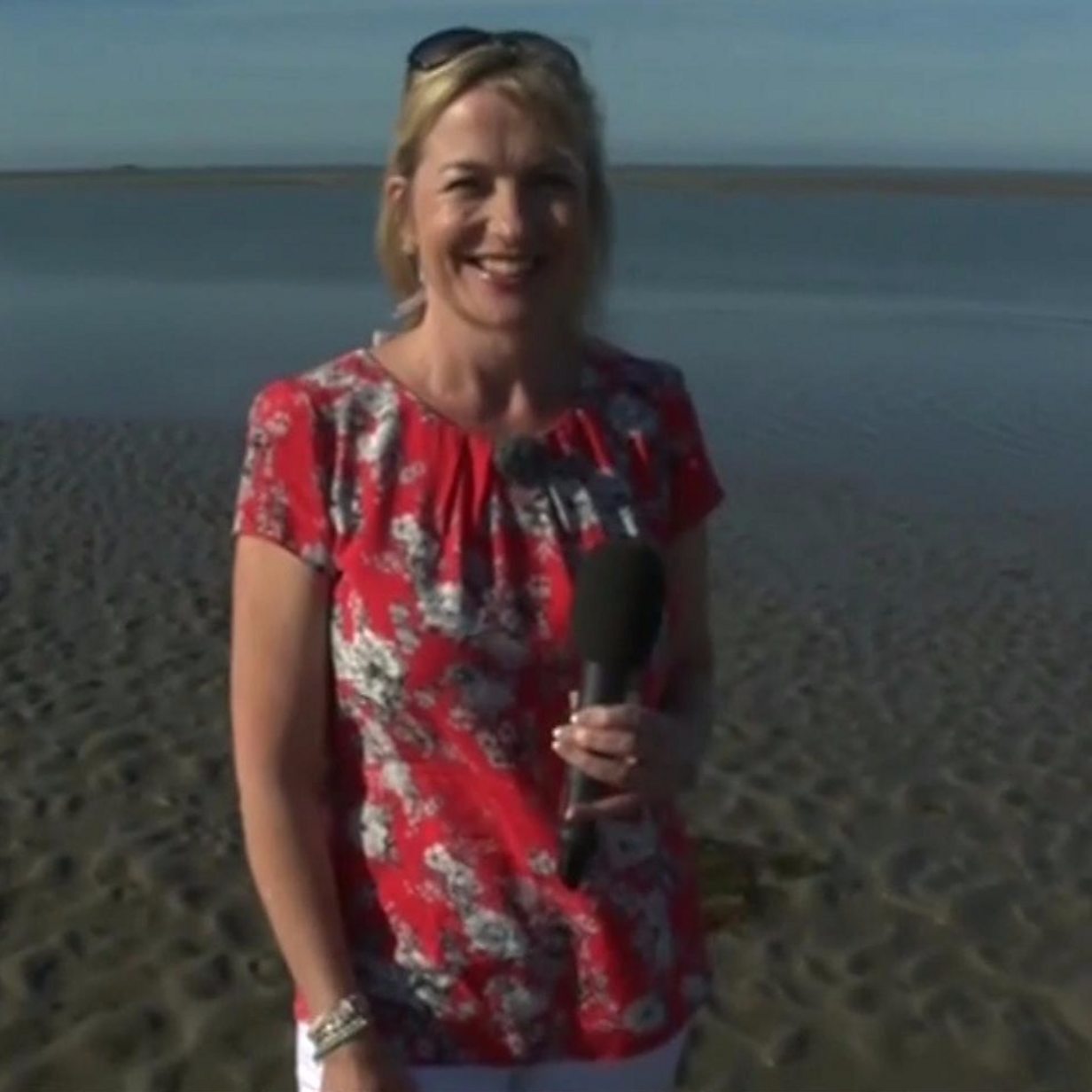 Carol Kirkwood: BBC weather presenter pulled over by dog on live TV...  again - BBC News