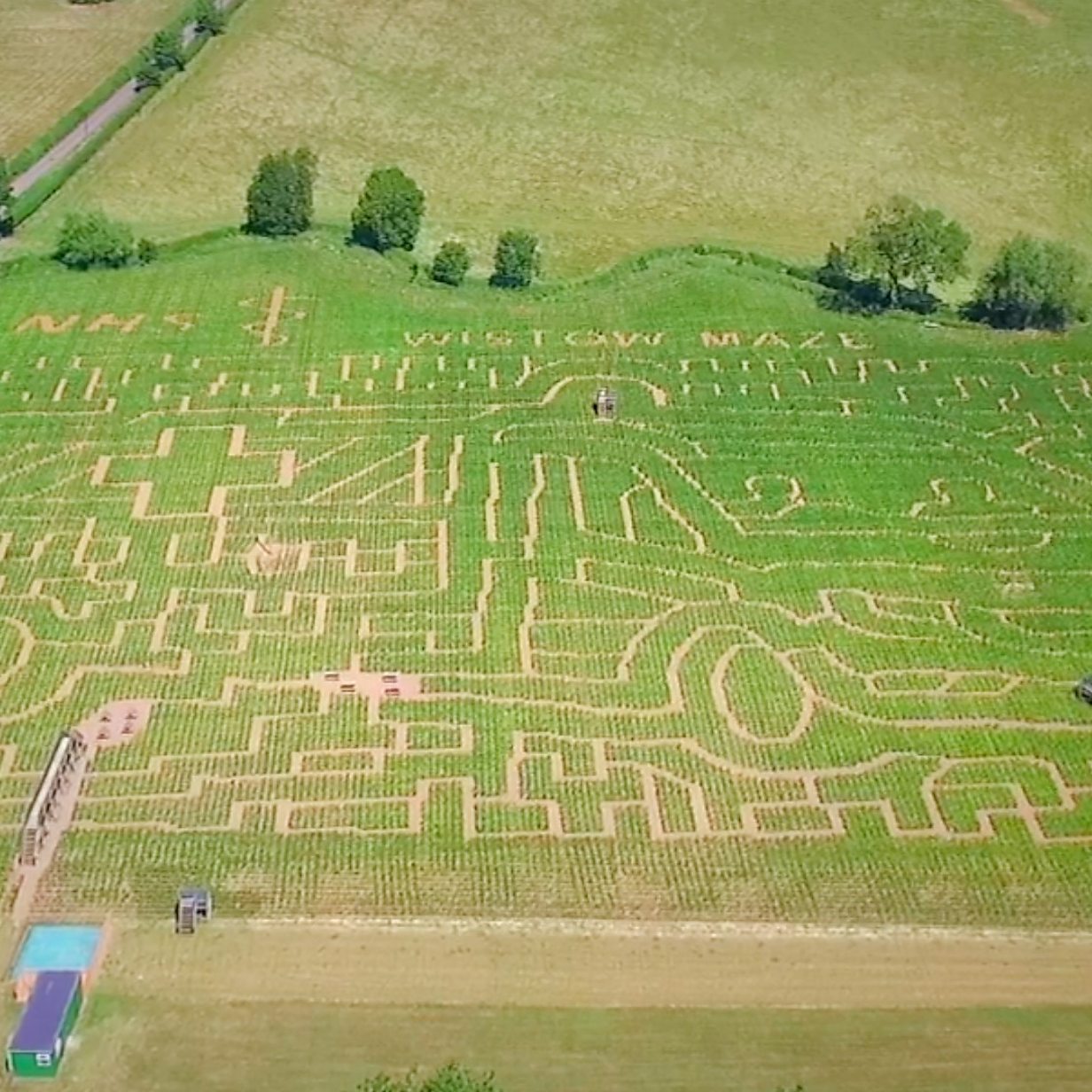 are dogs allowed in wistow maze