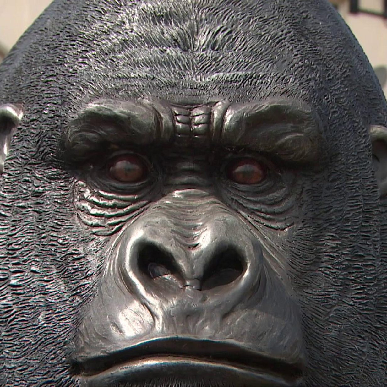 ウルフダウン　WDC70mh　GORILLA Crazy golf 'Peeping Kong' statue unnerves Devon residents - BBC News