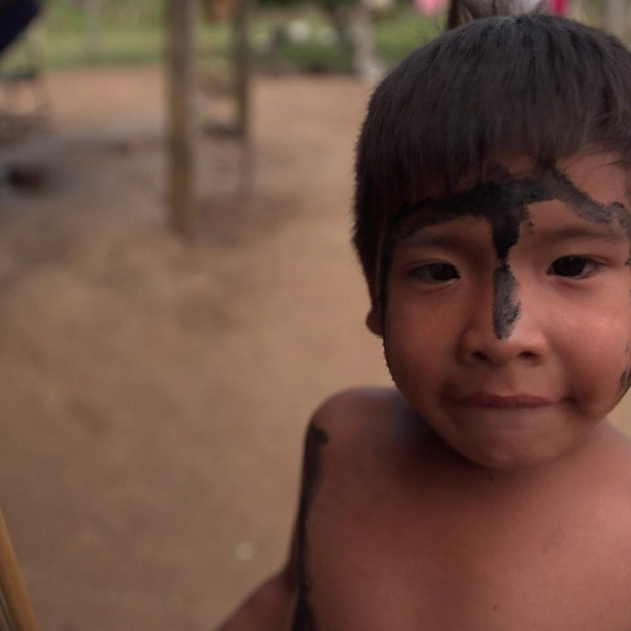 In the  rainforest, an indigenous tribe fights for survival
