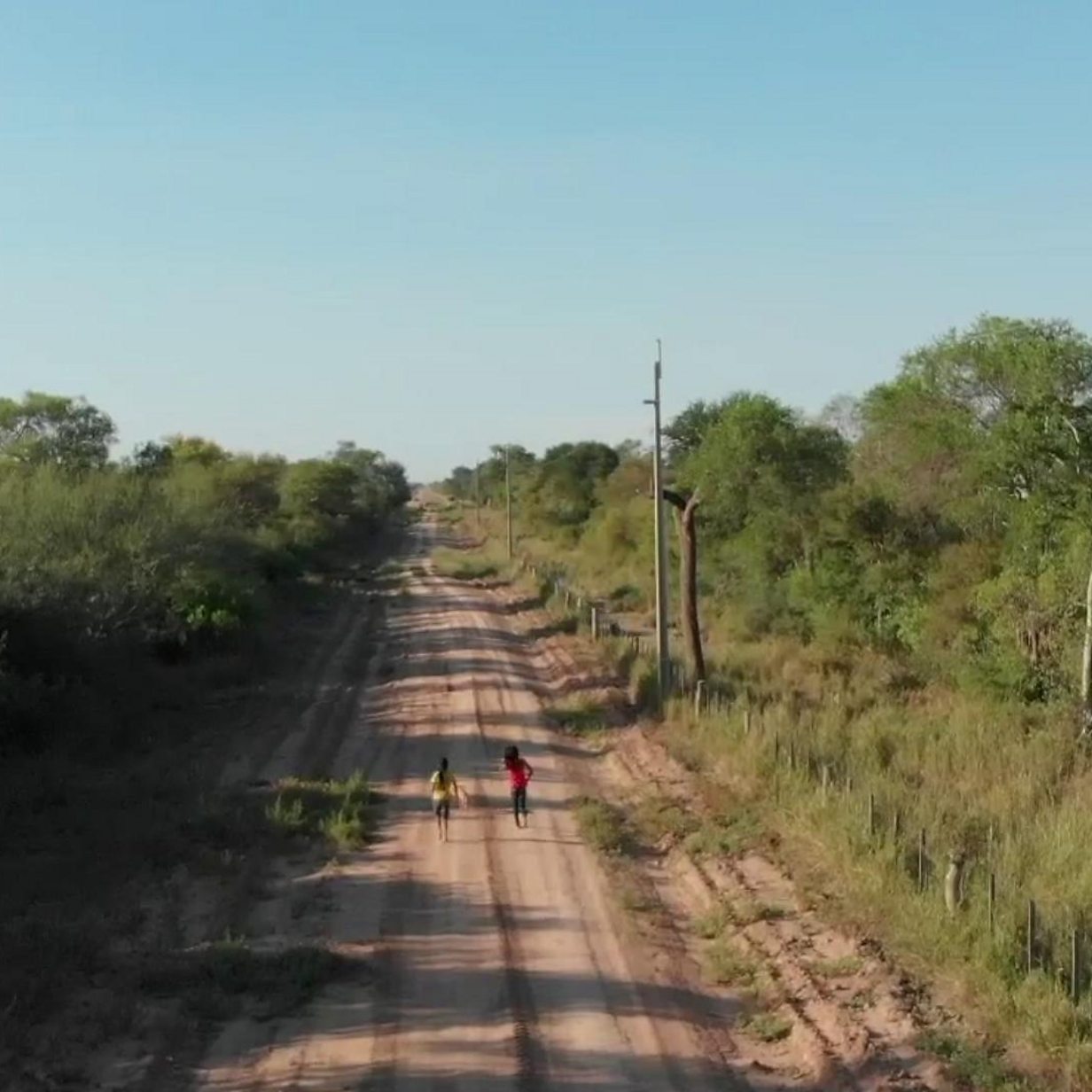 Chaco forest home of an ancient indigenous tribe is destroyed at dramatic rates