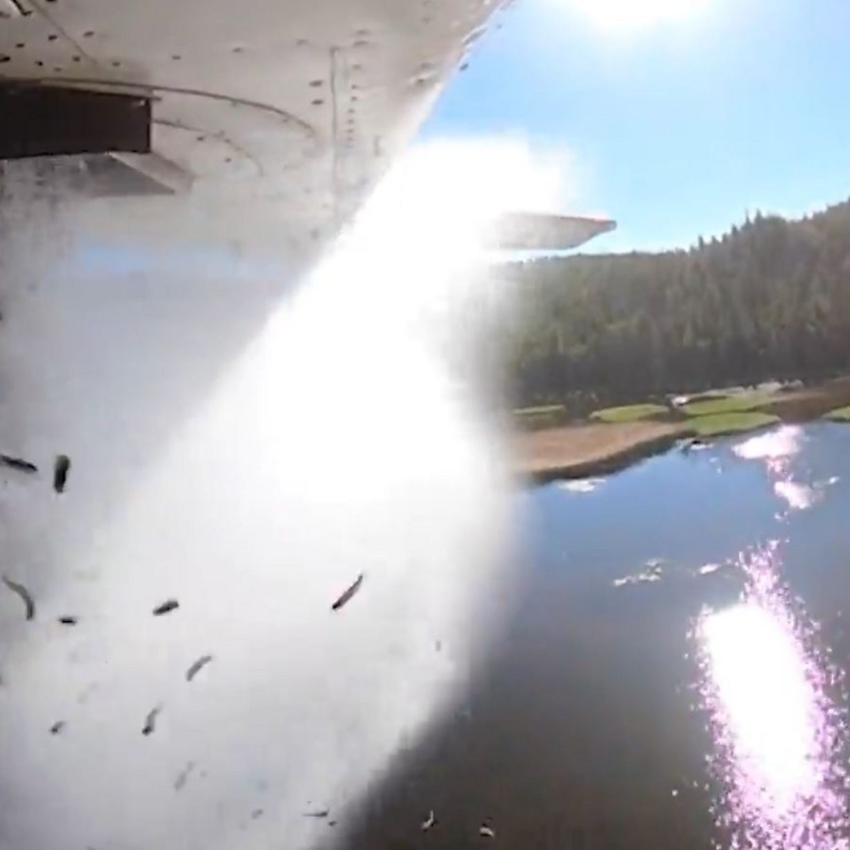 Utah drops thousands of fish from airplane into lakes