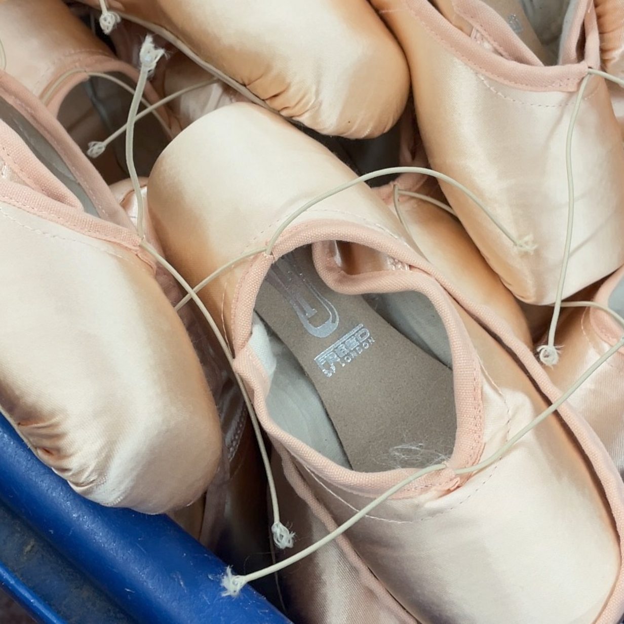 Freed london hot sale pointe shoes