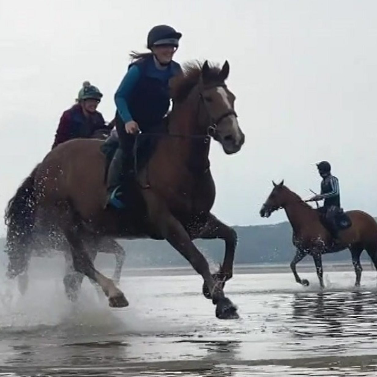 Amateur rider and influencer to achieve Badminton Horse Trial dream - BBC  News