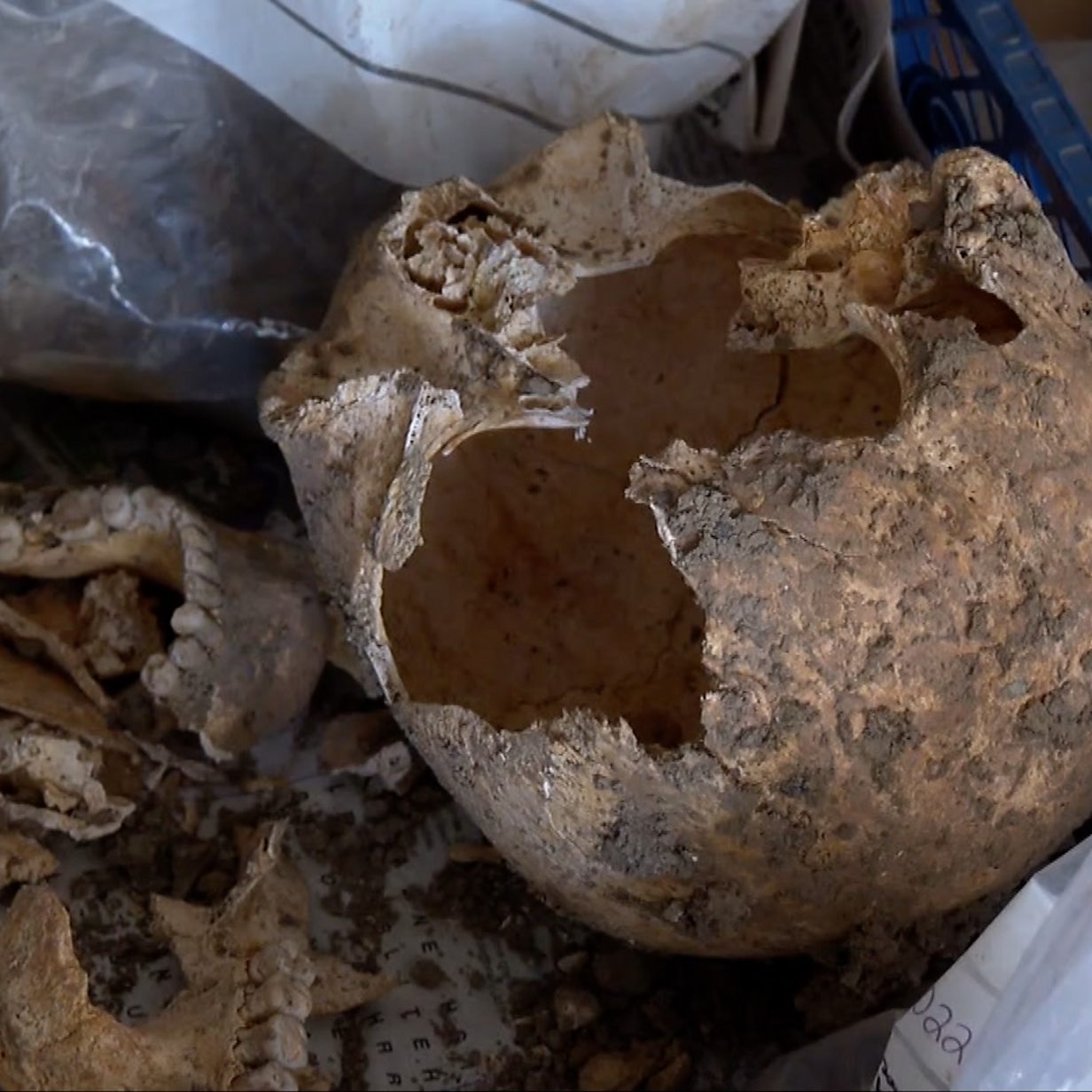 Hundreds of skeletons found under Haverfordwest store - BBC News