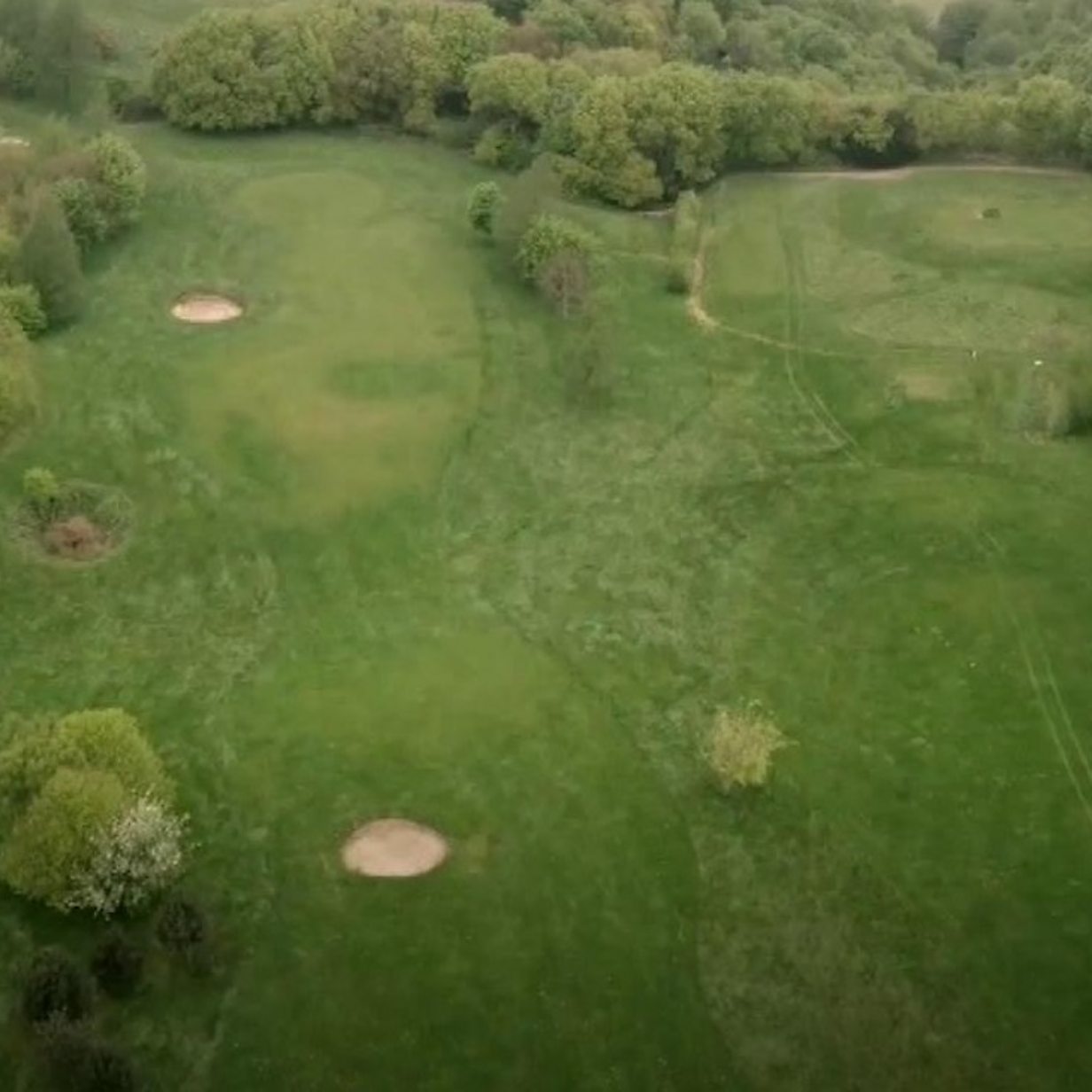 Frodsham rewilding What happens when a golf course returns to nature