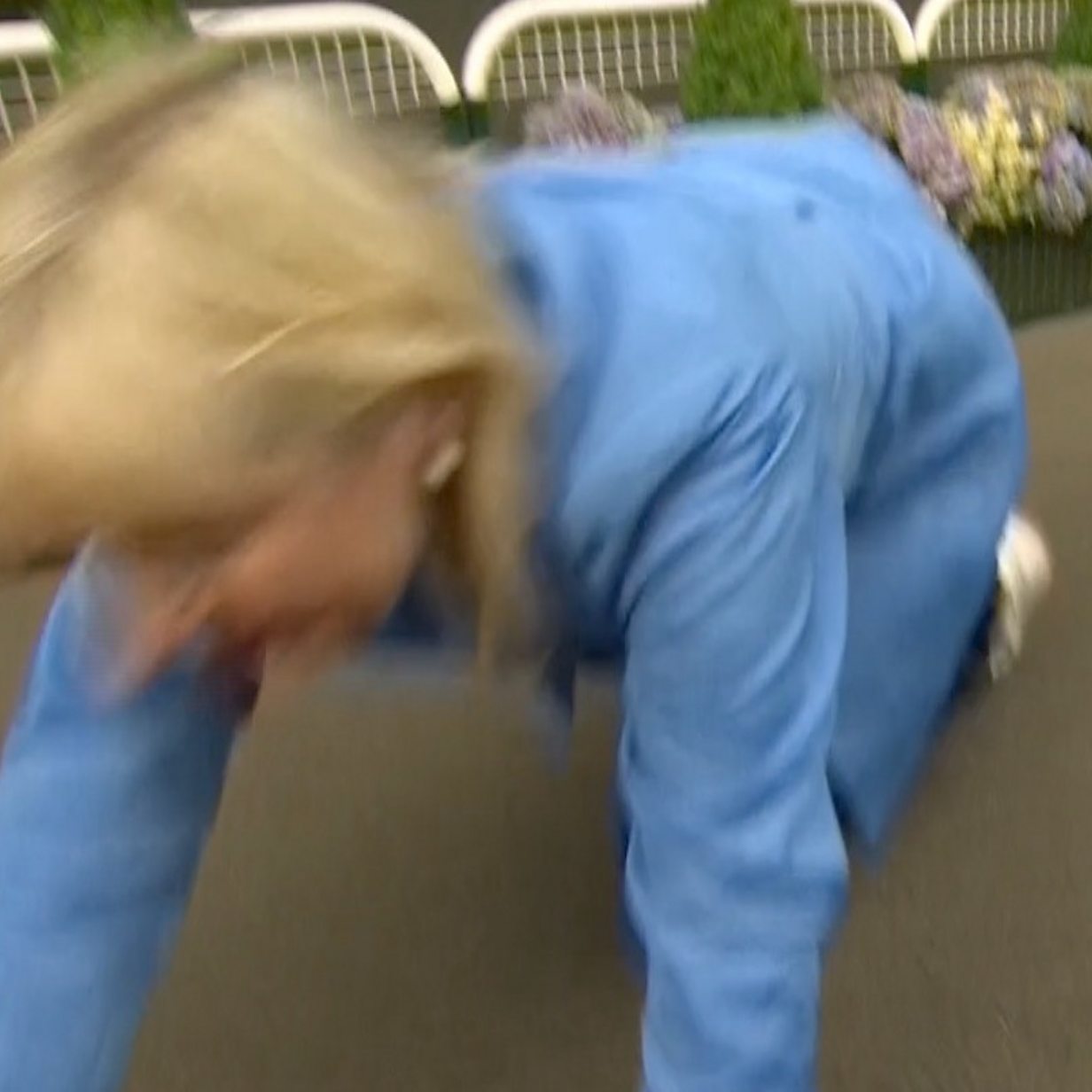 Carol Kirkwood: BBC weather presenter pulled over by dog on live TV... again